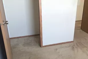 667 Aspen Dr, Manteno, IL 60950 - Photo 11