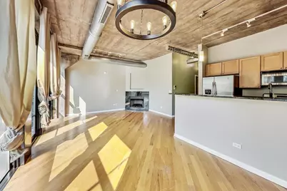 1000 W 15th Street #233, Chicago, IL 60608 - Photo 3