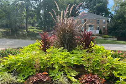 853 Bonnie Brae Lane, Bolingbrook, IL 60440 - Photo 35