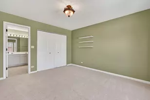 685 E Thornhill Ln, Palatine, IL 60074 - Photo 21