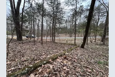 Lot 1234 Indian Camp Drive, Orangeville, IL 62939 - Photo 5