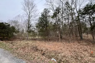 Lot 1234 Indian Camp Dr, Orangeville, IL 62939 - Photo 1