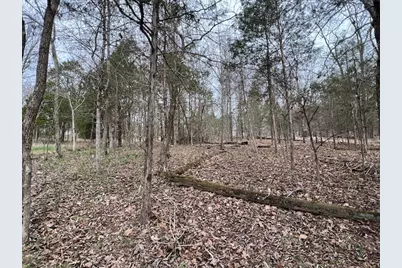 Lot 1234 Indian Camp Drive, Orangeville, IL 62939 - Photo 3