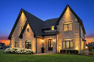 11529 Torino Way, Frankfort, IL 60423 - Photo 1