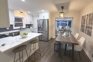 241 N Hamlin Ave, Park Ridge, IL 60068 - Photo 17