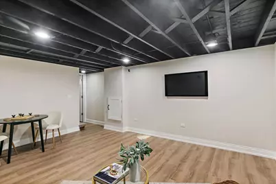 241 N Hamlin Avenue, Park Ridge, IL 60068 - Photo 37