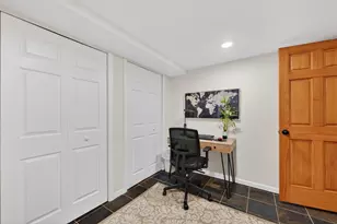 3909 Forest Ave, Downers Grove, IL 60515 - Photo 57