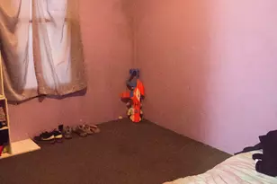 107 E Larue St, Streator, IL 61364 - Photo 31