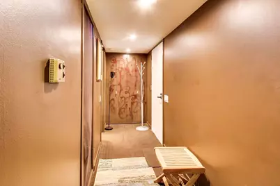 260 E Chestnut Street #801, Chicago, IL 60611 - Photo 5