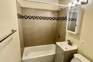 8538 S Buffalo Ave, Chicago, IL 60617 - Photo 11