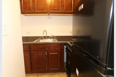 1040 W Hollywood Avenue #412, Chicago, IL 60660 - Photo 3