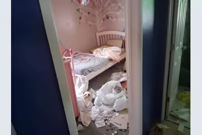 905 N Wesley Street, Springfield, IL 62702 - Photo 9