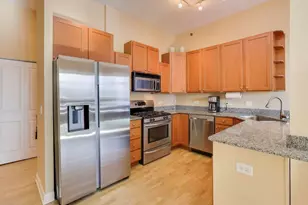 230 W Division St, Chicago, IL 60610 - Photo 9