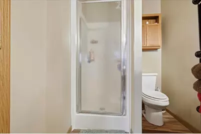 6009 Park Road, Clifton, IL 61727 - Photo 15