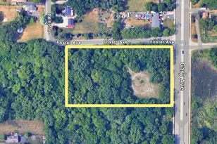 Lot Foster Ave, Roselle, IL 60172 - Photo 1