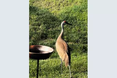 1175 Sonoma Court, Pingree Grove, IL 60140 - Photo 29