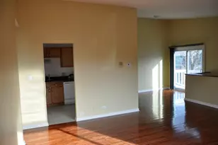 415 Harrison Ct, Vernon Hills, IL 60061 - Photo 3