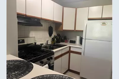 2921 S Michigan Avenue #413, Chicago, IL 60616 - Photo 13
