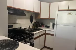 2921 S Michigan Ave, Chicago, IL 60616 - Photo 13