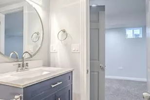 1013 W 18th Pl, Chicago, IL 60608 - Photo 23