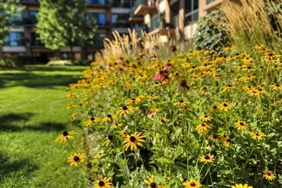 [Address not provided], Evanston, IL 60201 - Photo 21