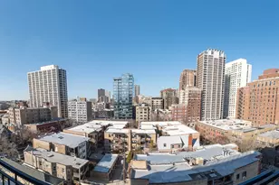 450 W Briar Pl, Chicago, IL 60657 - Photo 19