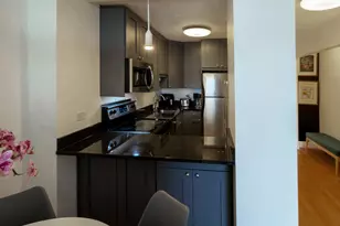 450 W Briar Pl, Chicago, IL 60657 - Photo 7