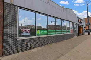 4195 S Archer Ave, Chicago, IL 60632 - Photo 3