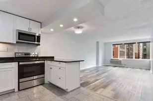 801 S Plymouth Ct, Chicago, IL 60605 - Photo 3