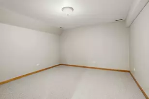 1153 Linden Cir, Beecher, IL 60401 - Photo 17