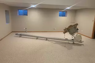 1153 Linden Cir, Beecher, IL 60401 - Photo 21