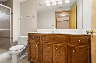 1153 Linden Cir, Beecher, IL 60401 - Photo 15