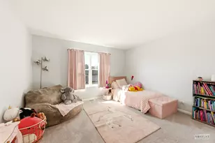 367 Chesapeake Ln, Oswego, IL 60543 - Photo 19