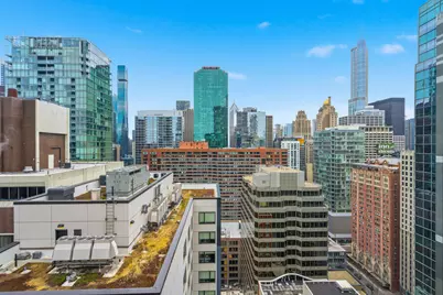 233 E Erie Street #1602, Chicago, IL 60611 - Photo 23