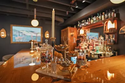 219 Parkview Drive, Bloomington, IL 61701 - Photo 63