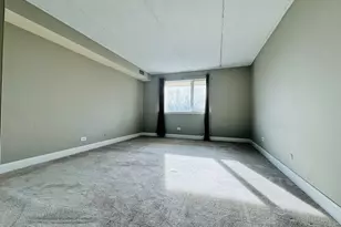 5S070 Pebblewood Ln, Naperville, IL 60563 - Photo 9