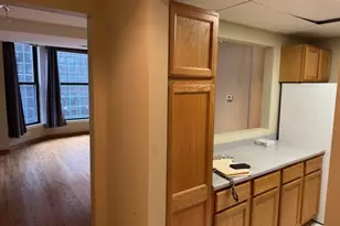 431 S Dearborn St, Chicago, IL 60605 - Photo 7