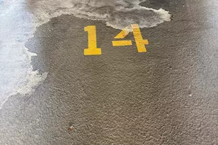 1525 S Sangamon St, Chicago, IL 60608 - Photo 13