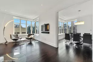 118 E Erie St, Chicago, IL 60611 - Photo 23