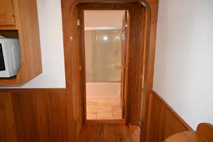 185 W Southmor Rd, Morris, IL 60450 - Photo 33