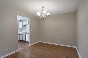 207 Norfolk Ct, Roselle, IL 60172 - Photo 11