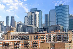 305 S Racine Ave, Chicago, IL 60607 - Photo 31