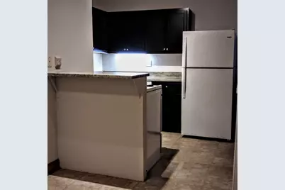 707 W Cornelia Avenue #1F, Chicago, IL 60657 - Photo 5