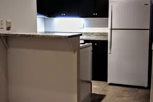 707 W Cornelia Ave, Chicago, IL 60657 - Photo 5