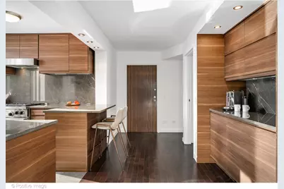 1555 N Dearborn Street #14AB, Chicago, IL 60610 - Photo 9