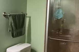 16543 Cranberry Ct, Tinley Park, IL 60487 - Photo 9