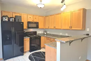 6571 Pine Lake Dr, Tinley Park, IL 60477 - Photo 11