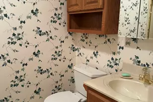 1602 S Eugene Ln, Marion, IL 62959 - Photo 11