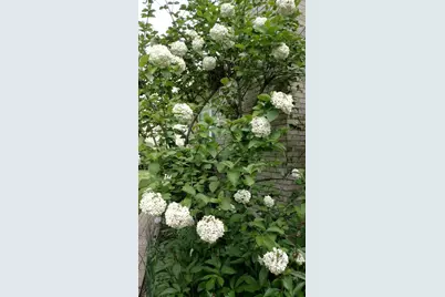 33 River Oaks Circle E, Buffalo Grove, IL 60089 - Photo 23