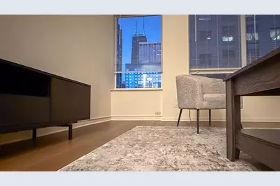 233 E Erie Street #1703, Chicago, IL 60611 - Photo 11